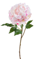 Set 4 Rami Artificiali Peonia Gigante H 57