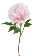 Set 4 Rami Artificiali Peonia Gigante H 57