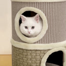 Cuccia per Gatti 35,5x35,5x49 cm Struttura Tiragraffi a Torre con 2 Nicchie Corda in Sisal e Alga Marina Cachi      