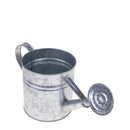 Set 2 Annaffiatoi 15 cm in Ferro