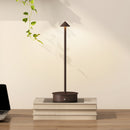 Lampada da Tavolo Touch Luce Led 3 Tonalità Ricaricabile con USB in Acciaio Caffè  