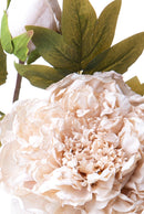 Set 6 Fiori Artificiali Peonia 65 cm 