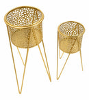 Porta Vasi Glod Coppia 21x20x46 cm - 18x18x32 cm in Ferro Oro      