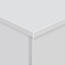Cassapanca Baule Rettangolare 100x40x40 cm in Legno truciolare Bianco