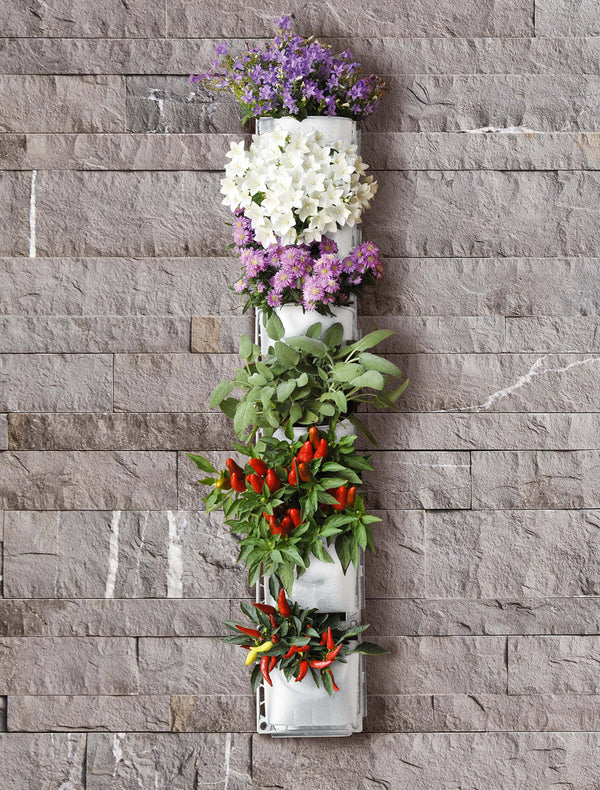 Giardino Verticale 6 Vasi 15x17x12 cm Intercambiabili Rama Vertical Garden prezzo