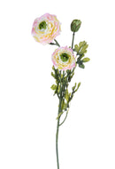 Set 6 Ranuncoli Artificiali Altezza 74 cm Rosa