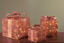 Pacchi Dono 3 Pezzi con 65 Led H25 cm in Rattan Rose