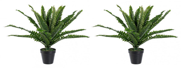acquista Set 2 Piante Artificiali di Felce 40x40x45 cm in Plastica con Vasi Verde