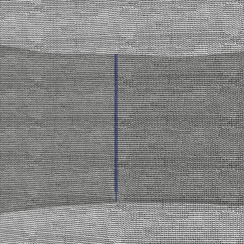 Rete di Protezione per Trampolini a 8 Pali con Ingresso con Cerniera Ø366x180 cm in PE Nero e Blu