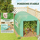 Serra a Tunnel per Orto 3x2x2 m con Porte Avvolgibili e Finestre in Acciaio e PE Anti UV Verde      