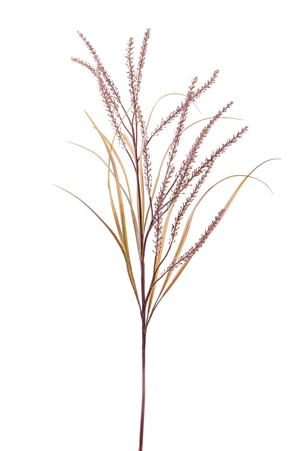 Set 2 Pennisetum Artificiali con 14 Diramazioni Altezza 130 cm Marrone online