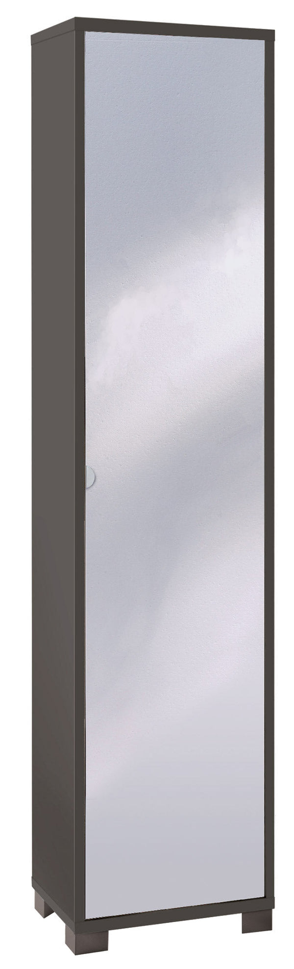 Armadio 1 Anta con Specchio 43x190x29 cm Titanio prezzo