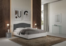 Letto Matrimoniale con Rete e Contenitore Alzata Comoda Struttura Bianco Frassico e Testata in Microfibra Grace Grigio Varie Misure