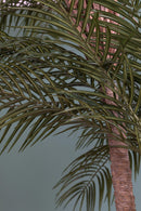 Ramo Artificiale Phoenix Palm a 2 Diramazioni con Vaso H 230 cm