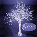 Albero di Natale Luminoso con 2832 Led Bianco Freddo 300xH300cm Ciliegio