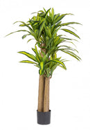 Set 2 Piante Artificiali Dracaena Ø110x150 cm in Plastica con Vasi Verde
