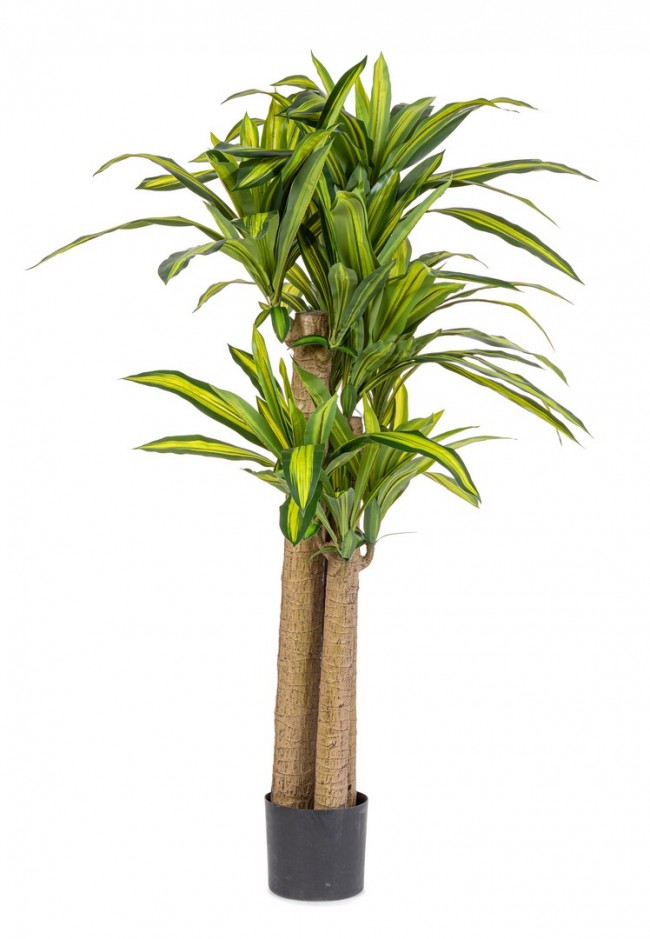 Set 2 Piante Artificiali Dracaena Ø110x150 cm in Plastica con Vasi Verde