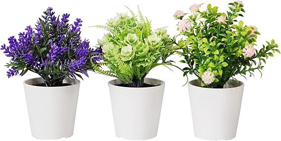 prezzo Set 3 Piante Artificiali con Vaso in Polipropilene Bianco