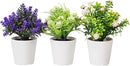 Set 3 Piante Artificiali con Vaso in Polipropilene Bianco   