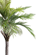 Pianta Artificiale Palma per 19 con Vaso 200 cm 