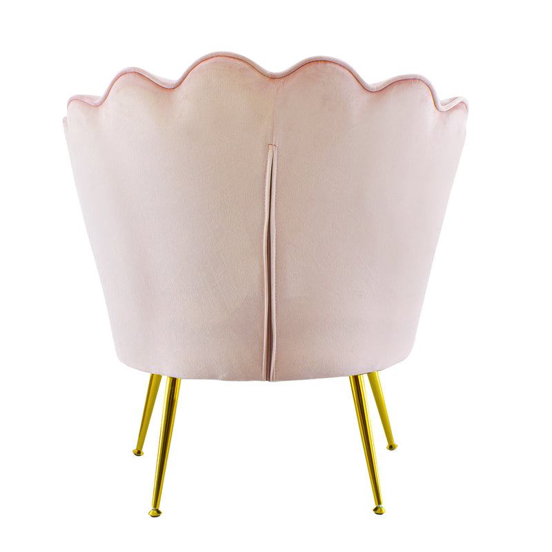 Poltrona Imbottita Schienale a Conchiglia in Velluto Piedi Oro Rosa