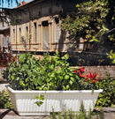 Vaso 67x37x20 cm in Plastica con Riserva dAcqua Rama Ortovaso Bianco