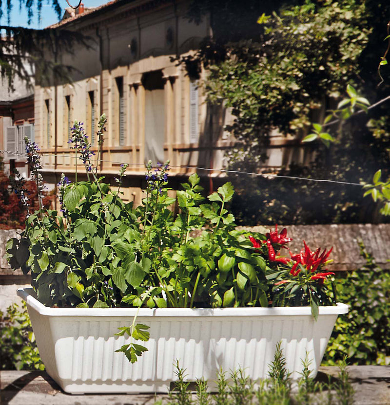 Vaso 67x37x20 cm in Plastica con Riserva dAcqua Rama Ortovaso Bianco