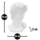 Scultura Roman Plus 20x13x30 cm in Poliresina 