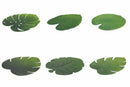 Set 6 Tovagliette 47x37 cm in Plastica Villa d'Este Home Tivoli Jungle Vari Colori