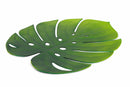Set 6 Tovagliette 47x37 cm in Plastica Villa d'Este Home Tivoli Jungle Vari Colori