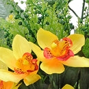 Set 4 Bouquet Artificiali Frontale di Orchidee Altezza 51 cm Giallo