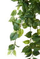 Set 2 Piante Artificiali Potos con 129 Foglie H 68 cm