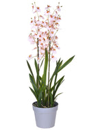Orchidea Artificiali Oncidium a 3 Diramazioni con Vaso Altezza 45 cm Rosa