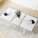 Tavolo da Pranzo Allungabile 120-160x80x78 cm per 4-6 Persone con Pannelli a Ribalta in Legno Bianco 