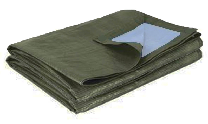 Casetta Box da Giardino 3x3xh2,4 m in Tessuto Polietilene Rinforzato 195gr/mq Verde