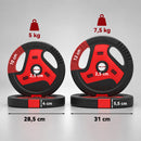 Dischi Pesi Palestra Set 4 Pezzi 25 kg con Foro 2,5 cm in PP e Cemento Nero      