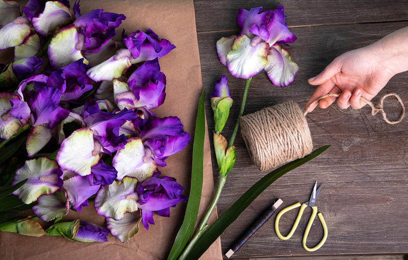 Set 6 Giaggiolo Composto da 2 Fiori Artificiali Altezza 73 cm Viola