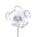 Set 12 Pick Catleia H15 cm Bianco