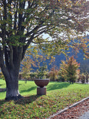 Barbecue a Legna Ø60x71 cm Primula in Acciaio Effetto Ruggine