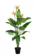 Set 2 Piante Artificiali Strelitzia 70x70x150 cm in Plastica con Vasi Verde