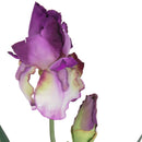 Set 6 Giaggiolo Composto da 2 Fiori Artificiali Altezza 73 cm Viola