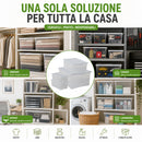 Set 4 Pezzi Contenitori con Coperchio Spring Box 1L + 1M + 2XS in Plastica Bianco Trasparente      
