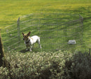 Recinto ottagonale da esterno per animali piccola taglia con parasole