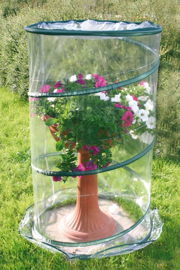 sconto Serra da Giardino con Sistema Pop-Up Ø70cm Rama Anthurium Verde