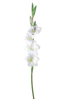 Set 4 Fiori Artificiali di Gladiolo Altezza 85 cm Bianco