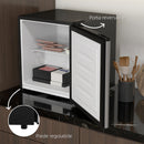 Frigo Portatile 35L con Ripiano Rimovibile e Temperatura Regolabile 47x44.2x48.8 cm Argento      