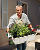 Vaso 67x37x20 cm in Plastica con Riserva dAcqua Rama Ortovaso Bianco