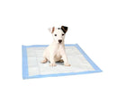 Set 10+1 traverse assorbenti 60x60 cm Adesive per cani e gatti cattura odori