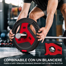 Dischi Pesi Palestra Set 4 Pezzi 25 kg con Foro 2,5 cm in PP e Cemento Nero      