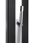 Doccia Solare Ibrida da Giardino 40L Miscelatore e Doccetta Lavapiedi Antracite/Inox
